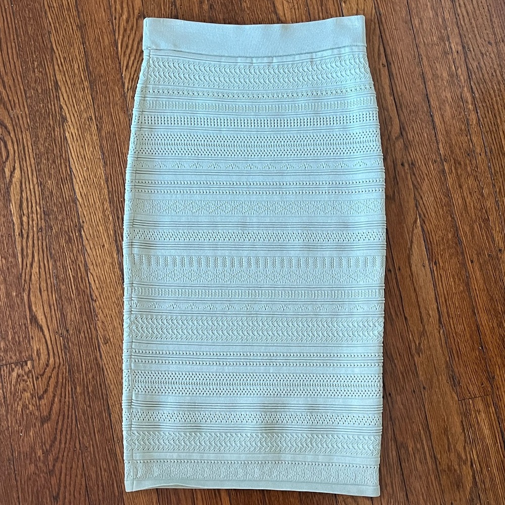 NWOT Aritzia Babaton Green Pencil Skirt!